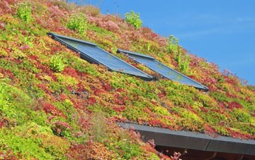 Four Crosses living roof systems